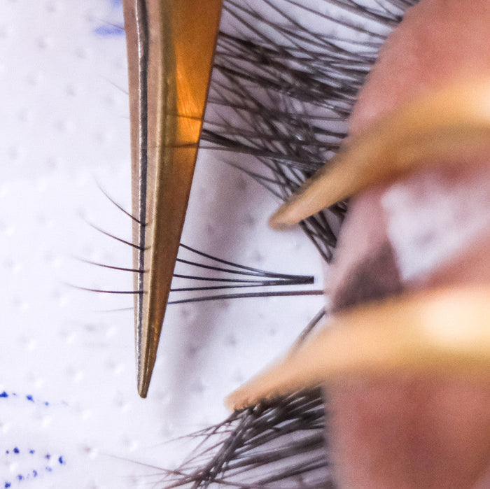 Applying lash extensions
