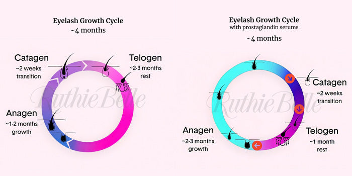The Ultimate Guide to Lash Serums